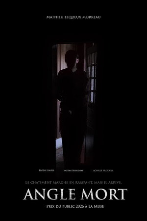 Blind spot movie poster