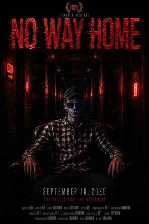 No Way Home movie poster