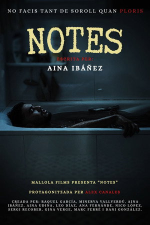 Notes movie poster