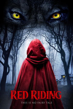 Red Riding movie poster
