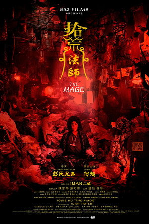 The Mage movie poster