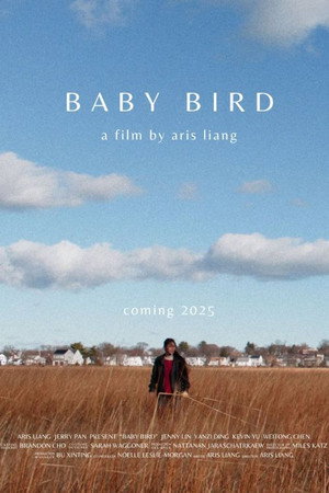 Baby Bird movie poster