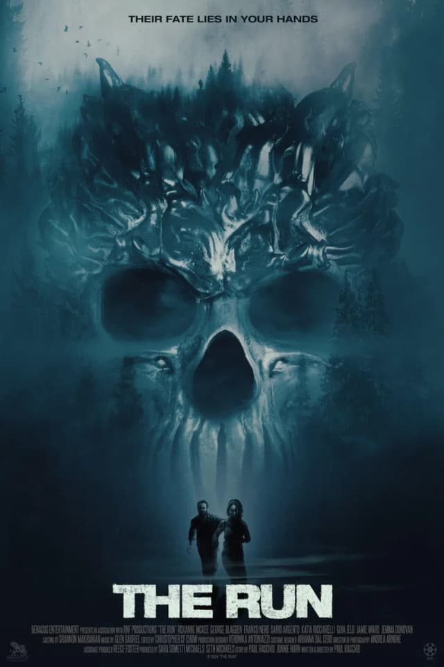 Poster for The Run