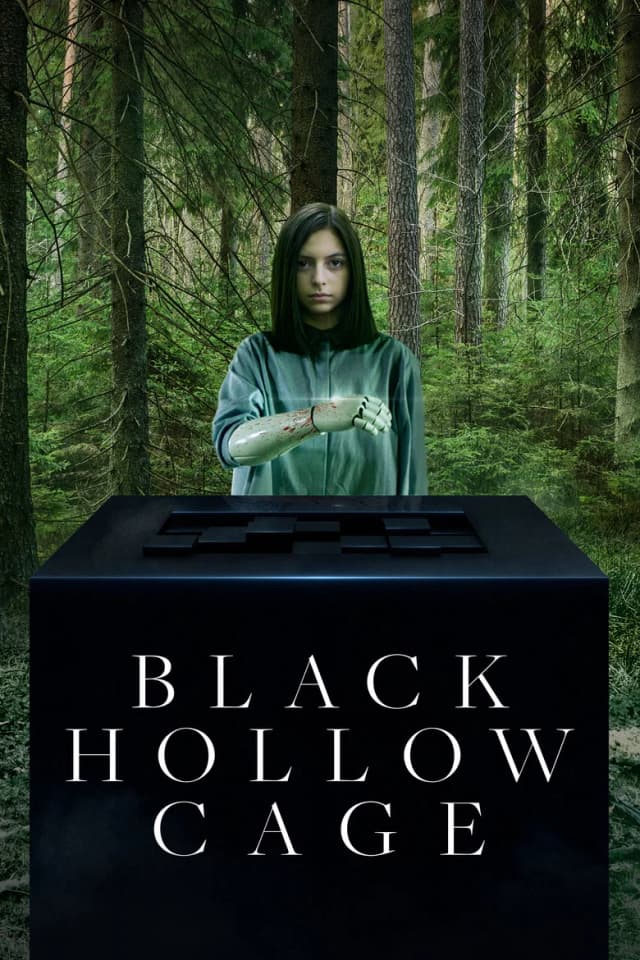 Poster for Black Hollow Cage