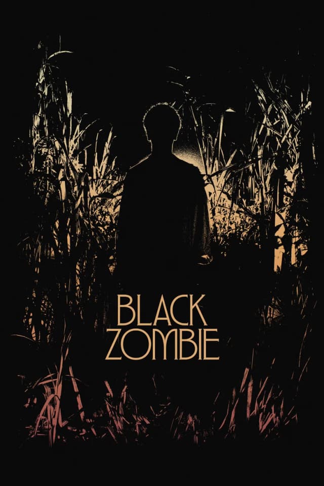 Poster for Black Zombie