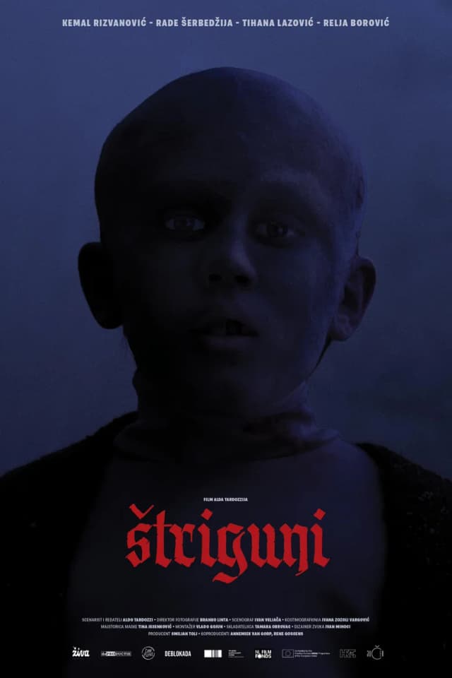 Poster for Striguni