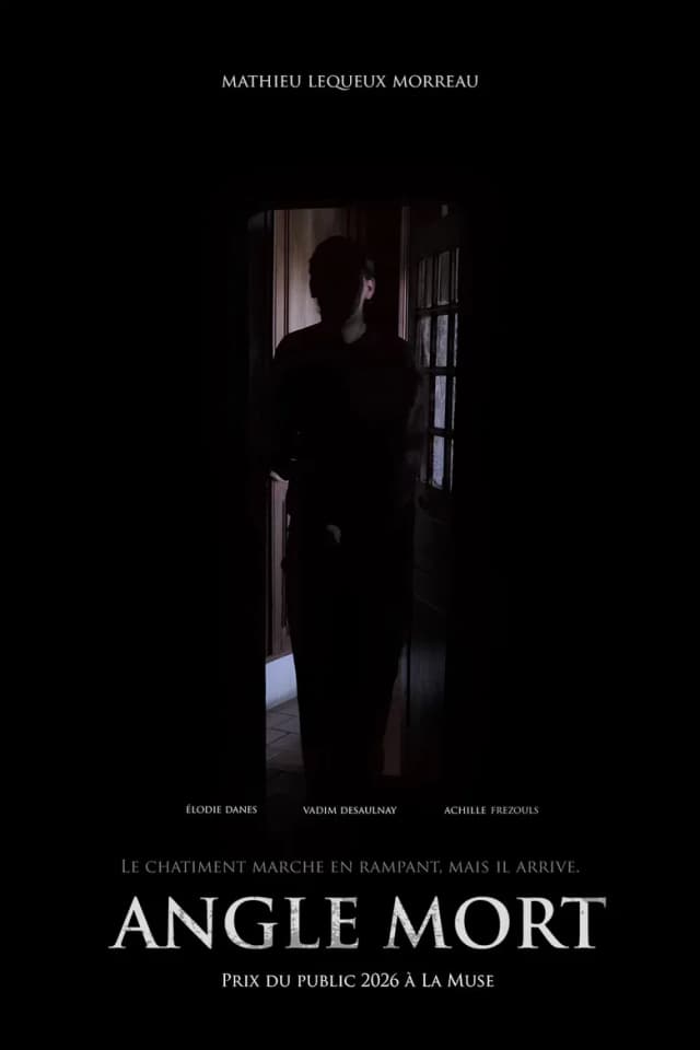 Poster for Blind spot