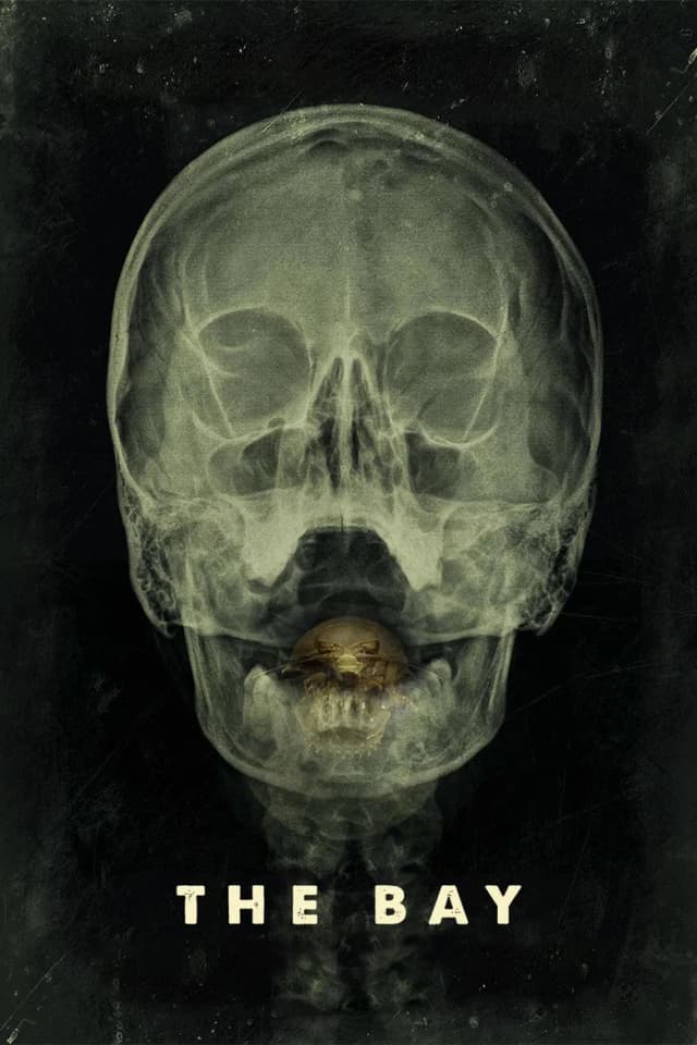 Poster for The Bay