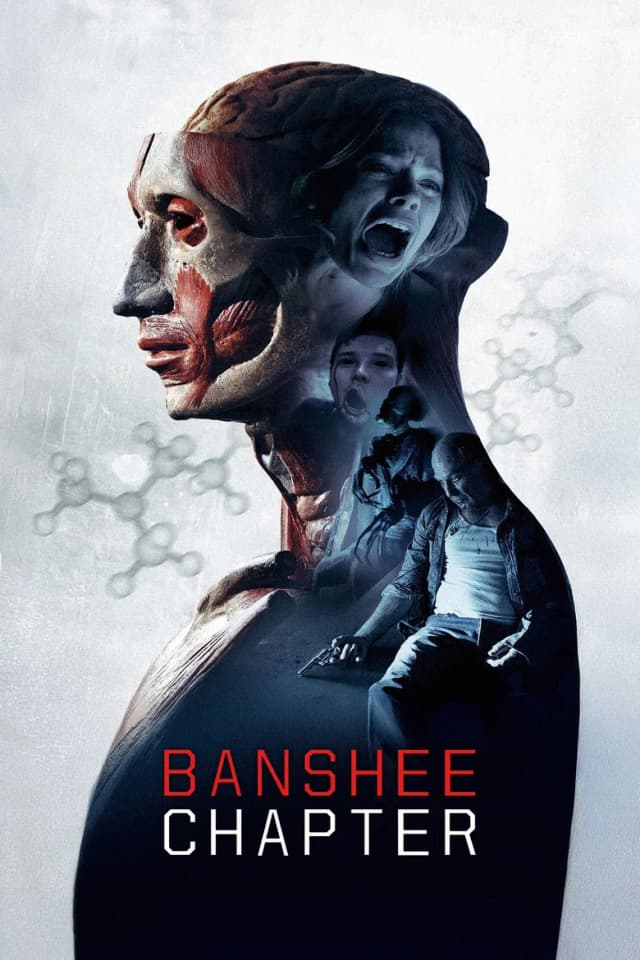 Poster for Banshee Chapter