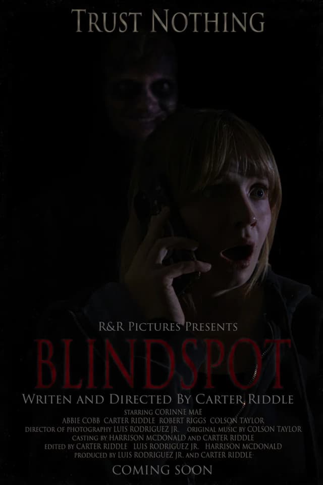 Poster for BLINDSPOT